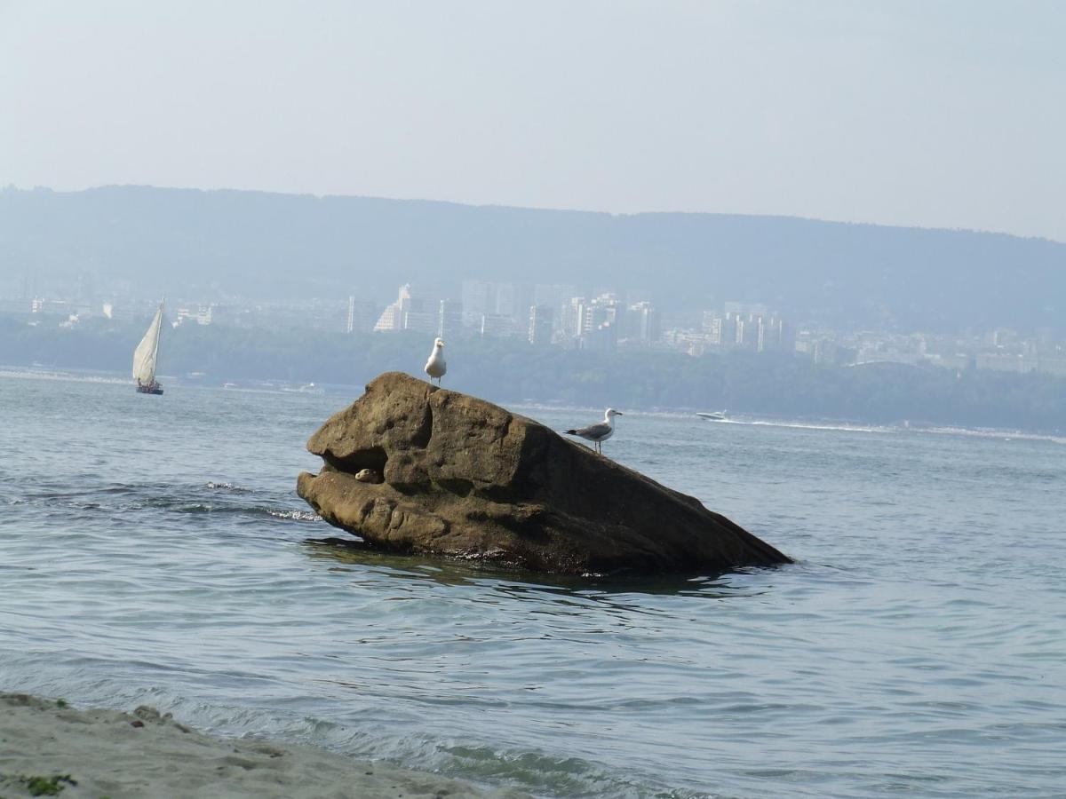 Asparuhov Guest Rooms And Apartments Varna Bagian luar foto
